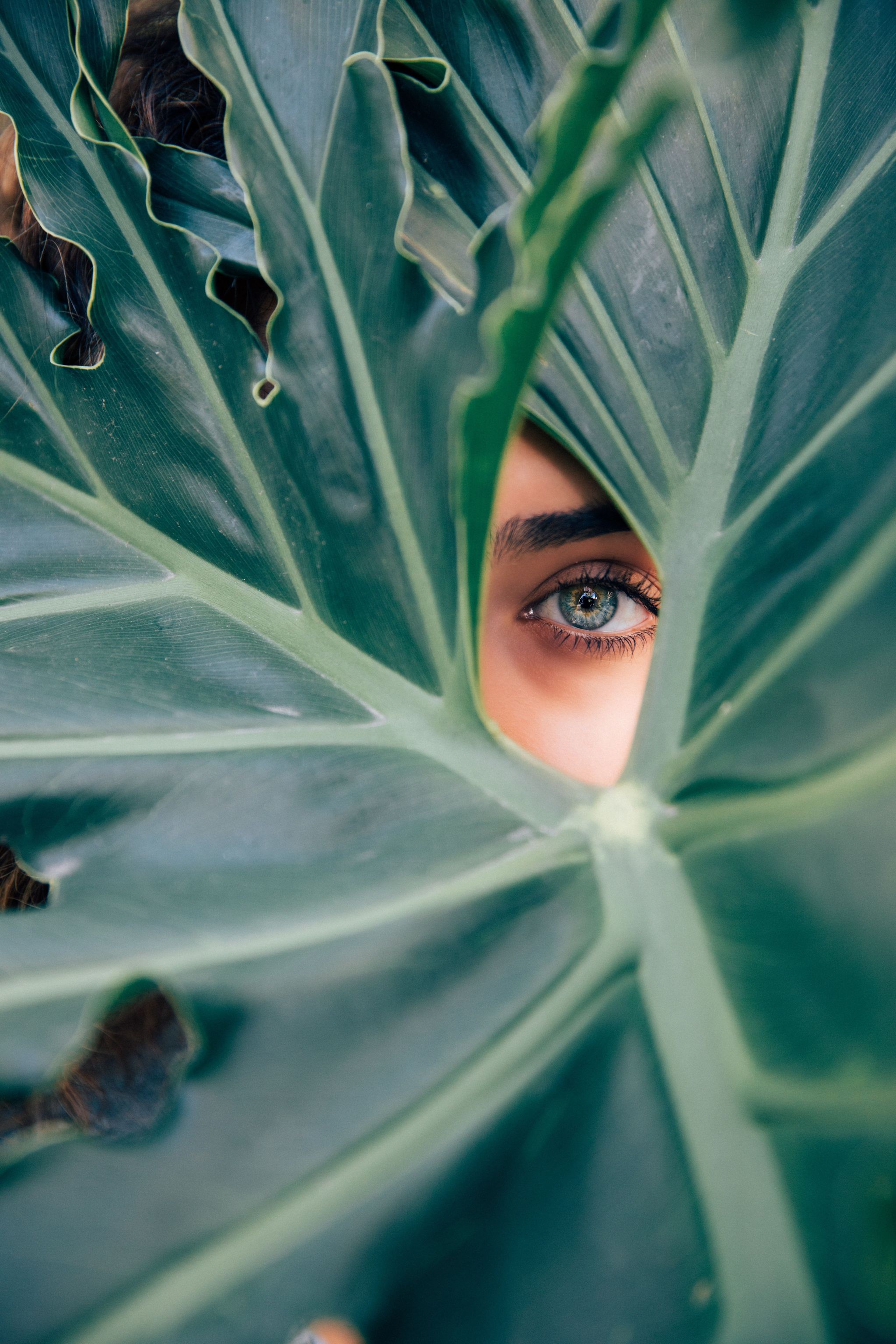 Regarde-moi dans les yeux.