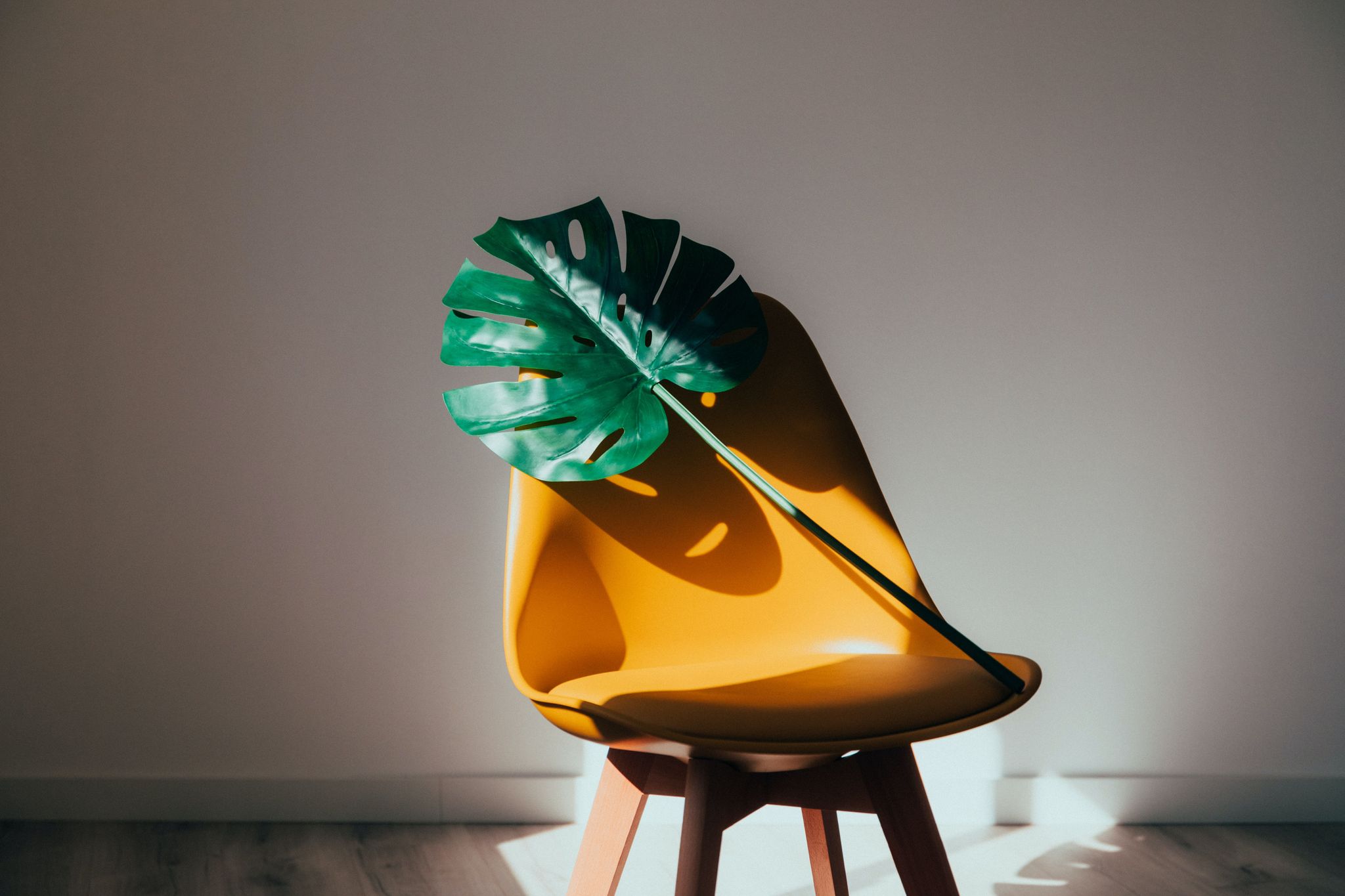 Plante tropicale sur une chaise jaune 