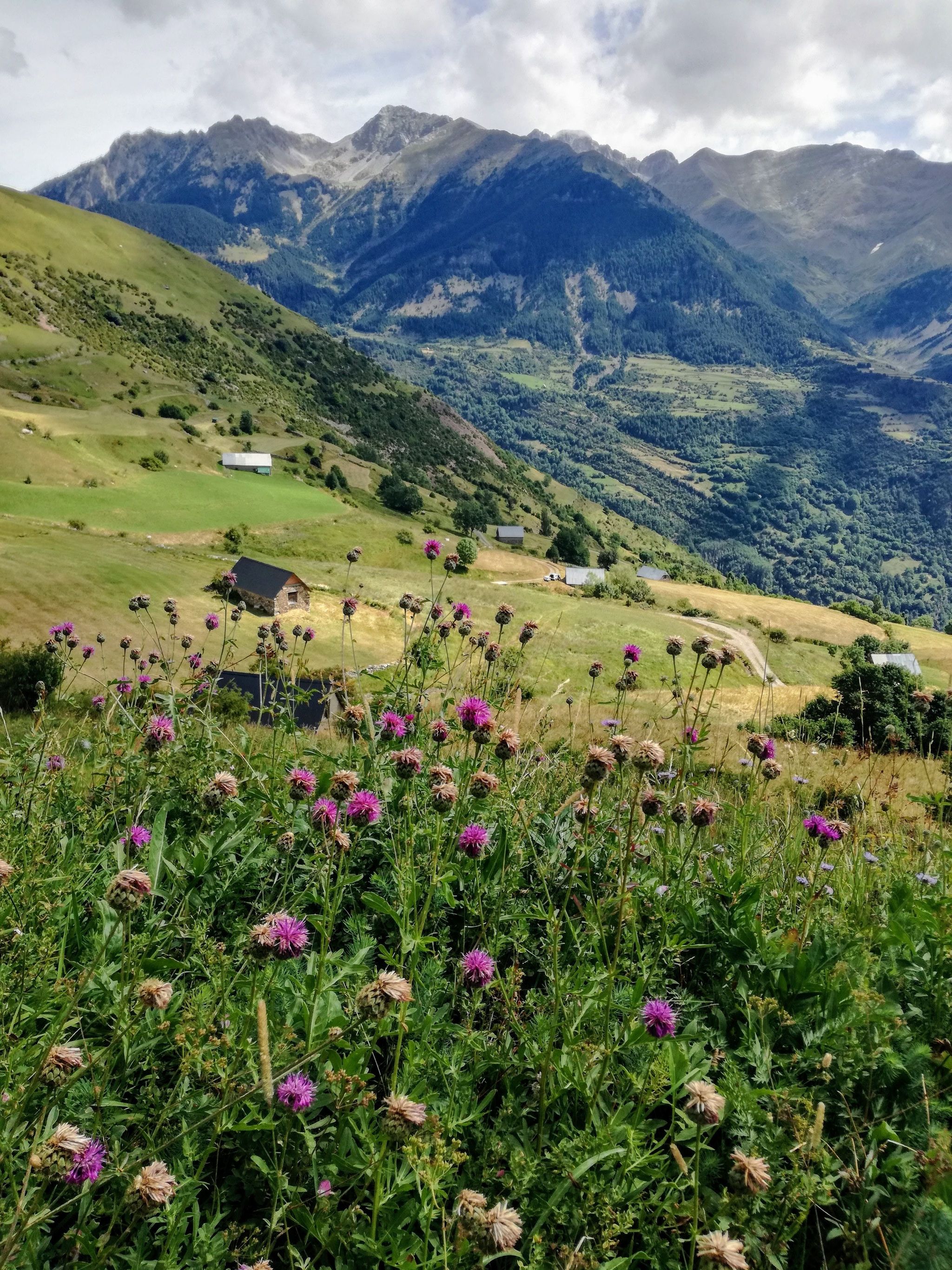 La beauté des montagnes 
