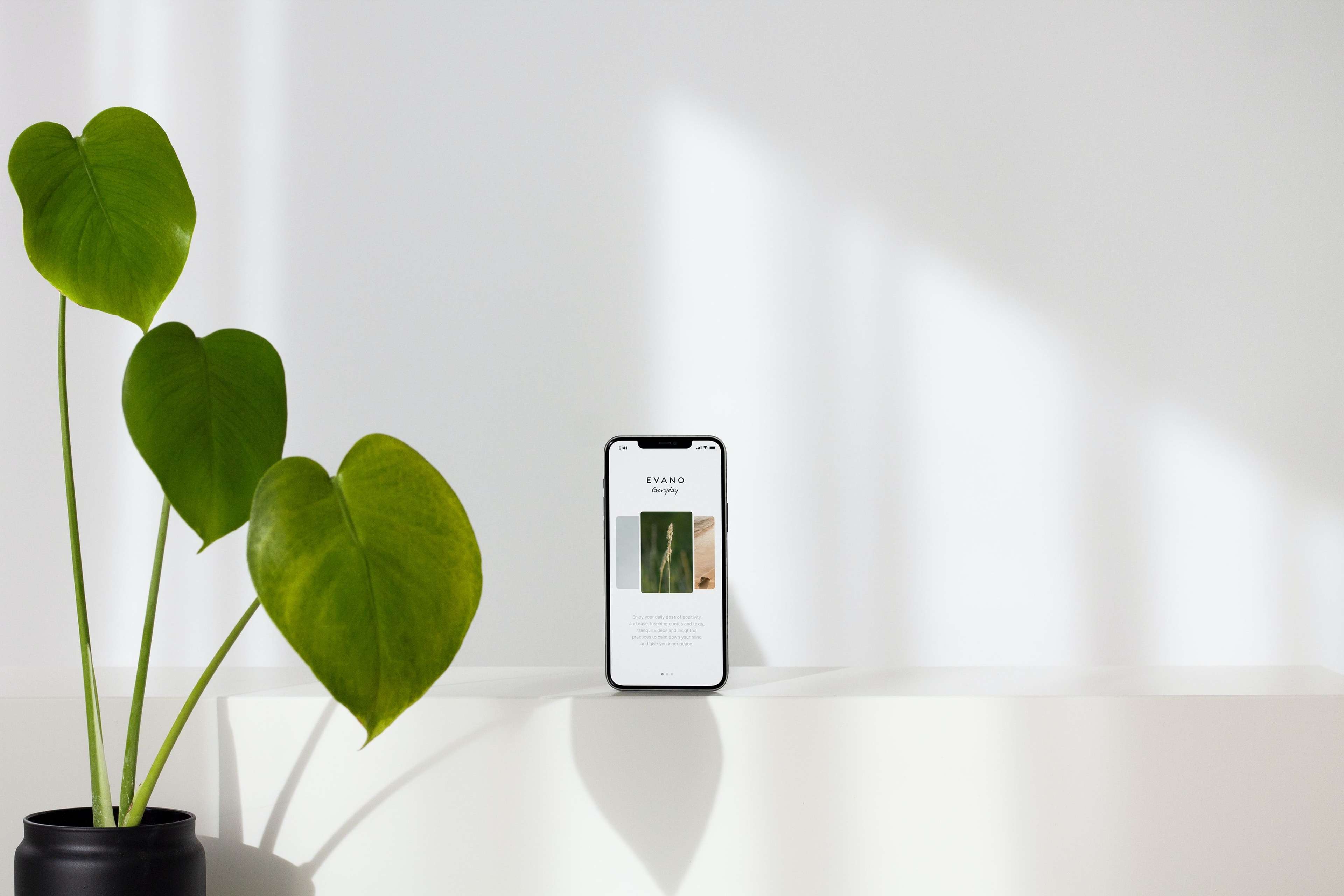 Téléphone avec une plante sur le côté sur un fond blanc 