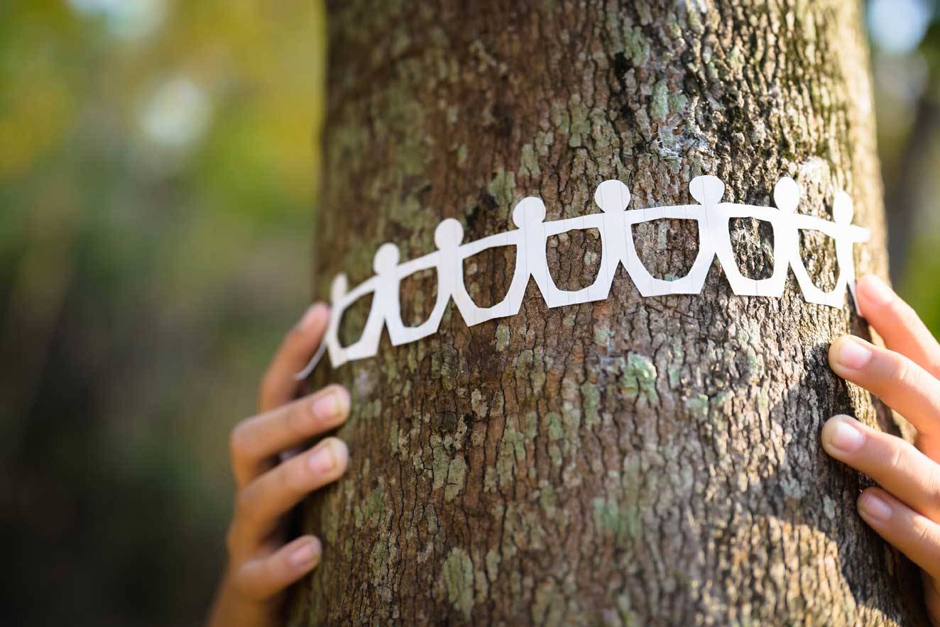 Un enfant tient la chaîne humaine du papier autour du tronc d'arbre dans la forêt, sauve et protège le concept d'arbre, d'environnement et de RSE